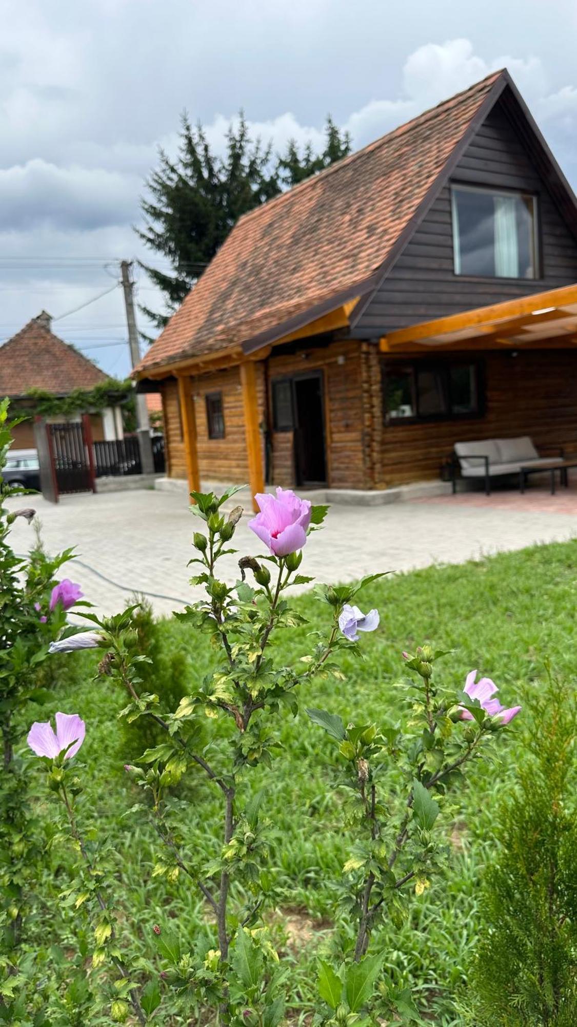 Casuta Cu Tihna Villa Felsőporumbák Kültér fotó