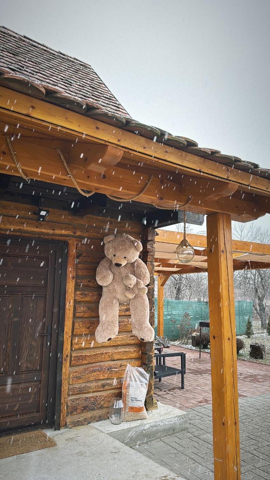 Casuta Cu Tihna Villa Felsőporumbák Kültér fotó